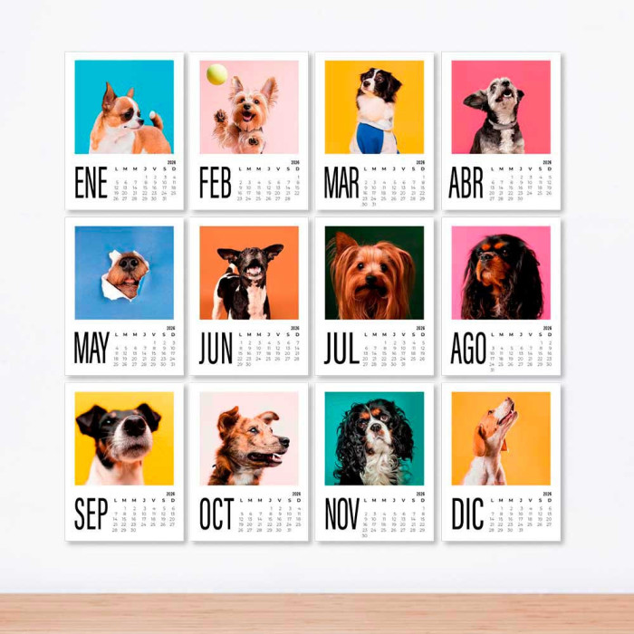 Calendario tipo polaroid personalizado con tus fotos